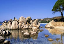 武汉品茗：探索城市底蕴，领略传统与前卫融合的独特风味