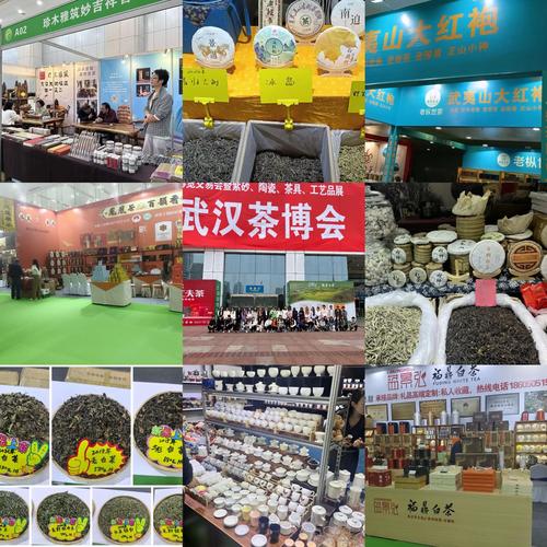 武汉品茶网_武汉品茶网最新帖子_武汉品茶网桑拿论坛